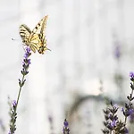 Lavanda Mobile Homes & Prázdninový areál